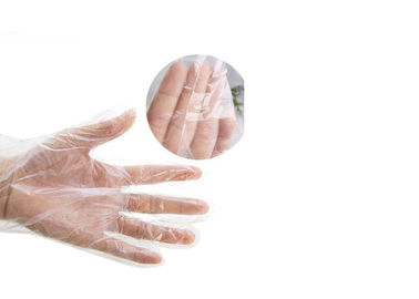 ถุงมือยาง OEM ODM ศัลยกรรมมือสลายน้ำยางธรรมชาติโปร่งใส ผู้ผลิต